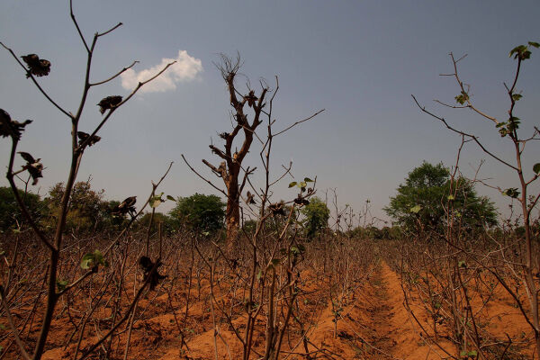 dürre - © Foto: imago / zuma Press