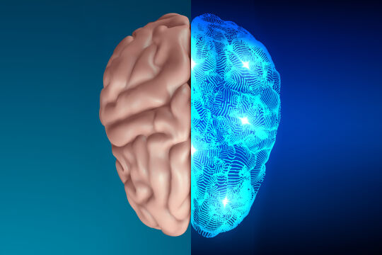Gehirn Künstliche Intelligenz - © Bild: iStock w/ Alex Sholom