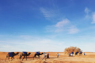Wüste - © Foto: Markus Angermayr