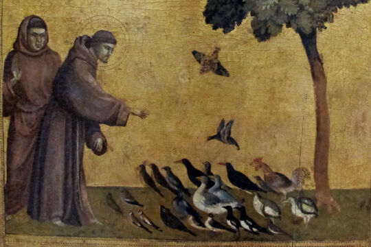 Giotto_di_bondone 2 - © Wikipedia - Franz predigt den Vögeln, Gemälde von Giotto (1297-99)