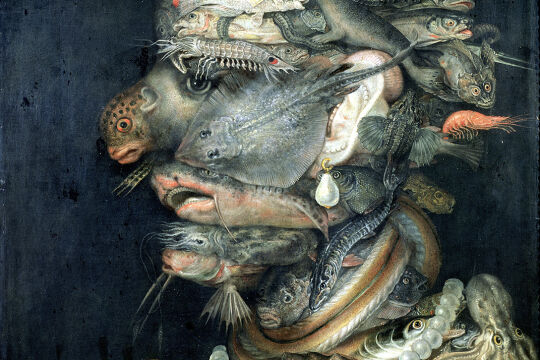 Arcimboldo-Gesicht-Fisch-Porträt - © Foto: Getty Images / Art Images