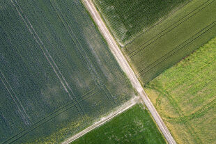 Landwirtschaft - © Foto: iStock/oll
