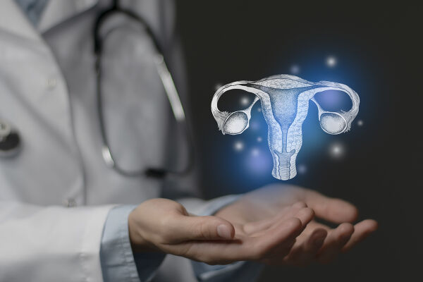Uterus - © Foto: iStock/ isayildiz