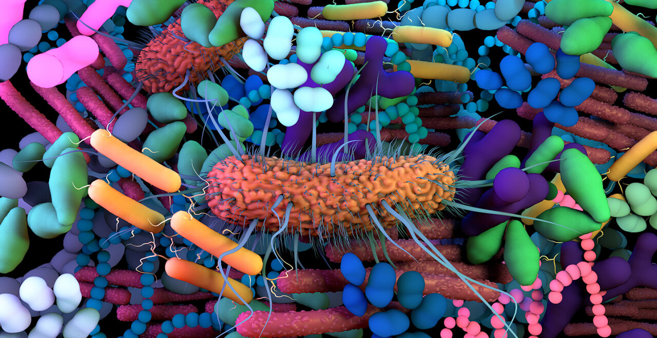 Mikrobiom - © Foto: iStock/ Design Cells