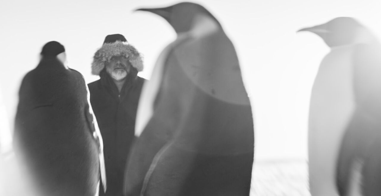 Rückkehr zum Land der Pinguine - © Polyfilm