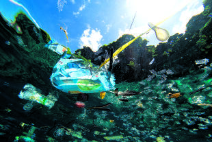 Plastikflut - Mindestens neun Millionen Tonnen Plastik landen pro Jahr in den Ozeanen (Plastikmüll aus der Unterwasser- Perspektive). - © iStock / Magnus Larsson