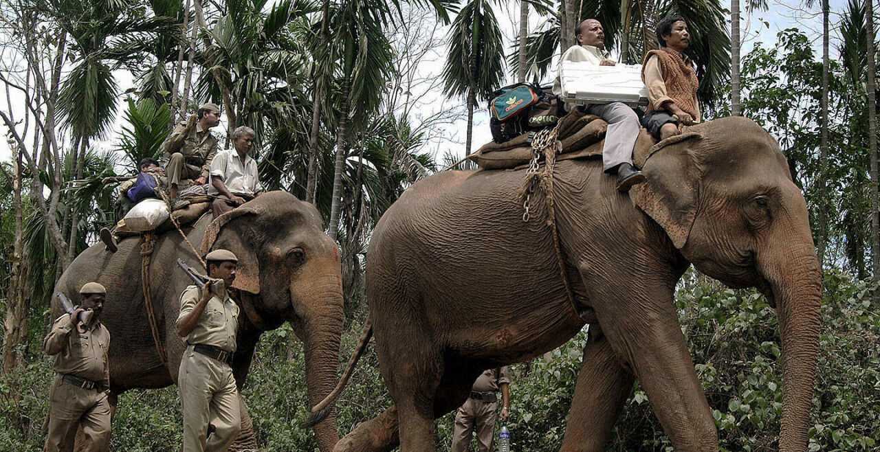 Indien Elefant Wahlmaschinen - © AFP Photo STR