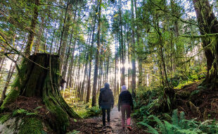 Waldbaden Wald Spaziergang Gehen Spazieren - © iStock/PamelaJoeMcFarlane