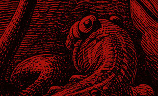 Illustration Booklet Seite 6 - Rot-schwarze Linienzeichnung eines Chamäleons mit gedrehtem Auge. - © Illustration: iStock/duncan1890