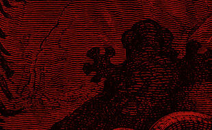 Illustration Booklet Seite 7 - Schwarz-rote Linienzeichnung eines Frosches auf einem Ast vor einem Hintergrund mit Wellenlinien. - © Illustration: iStock/duncan1890