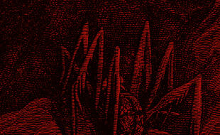 Hintergrund11 - Ausschnitt eines rot-schwarz-stilisierten Linolschnittes, auf dem eine Spinne zu sehen ist. - © Illustration: iStock/duncan1890