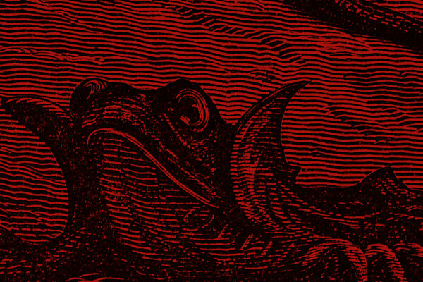 Illustration booklet April 2026 - Schwarz-rote Linienzeichnung eines Froschs mit geöffnetem Maul - © Illustration: iStock/duncan1890