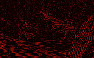 Hintergrund15 - Ausschnitt eines rot-schwarz-stilisierten Linolschnittes, auf dem eine Art Echse zu sehen ist, die auf den Betrachter zukriecht. - © iStock/duncan1890