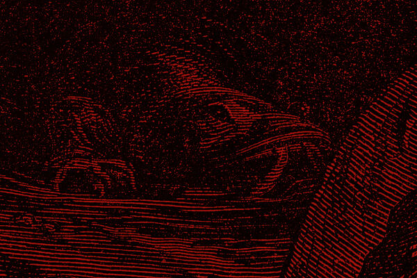 Hintergrund15 - Ausschnitt eines rot-schwarz-stilisierten Linolschnittes, auf dem eine Art Echse zu sehen ist, die auf den Betrachter zukriecht. - © iStock/duncan1890