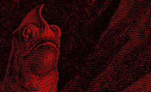 Illustration Booklet April 2026 - Rot-schwarz schraffierte Illustration eines Fisches mit geöffnetem Maul und hervorstehenden Augen - © Illustration: iStock/duncan1890