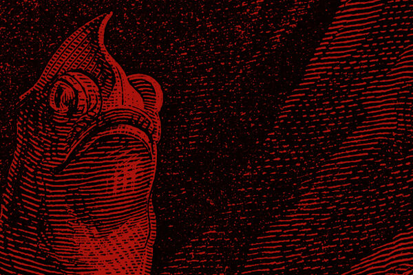 Illustration Booklet April 2026 - Rot-schwarz schraffierte Illustration eines Fisches mit geöffnetem Maul und hervorstehenden Augen - © Illustration: iStock/duncan1890