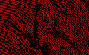 Illustration Booklet April 2026 - Schwarz-weiße Linienzeichnung eines Untersee-Tieres, umgeben von wellenförmigen Linien - © Illustration: iStock/duncan1890