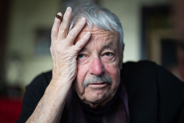 Slobodan Šnajder - Slobodan Šnajder - © APA / Georg Hochmuth