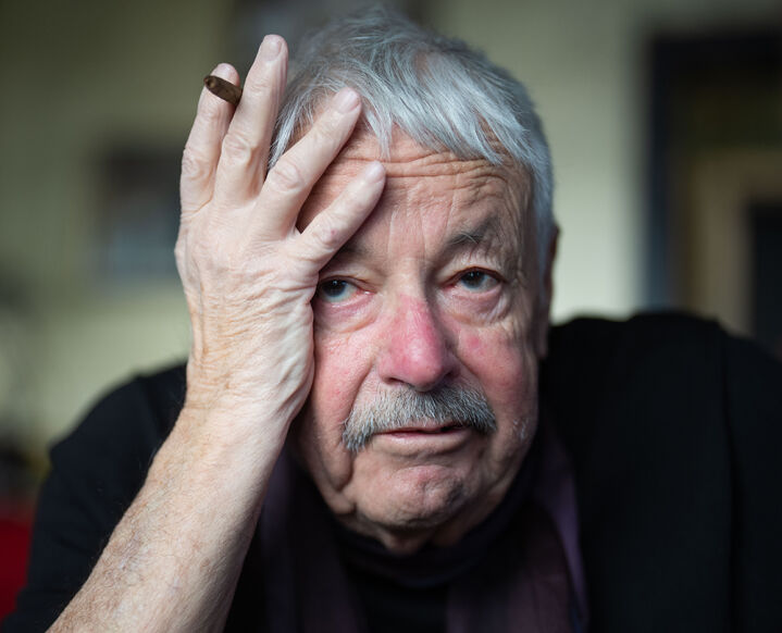 Slobodan Šnajder - Slobodan Šnajder - © APA / Georg Hochmuth