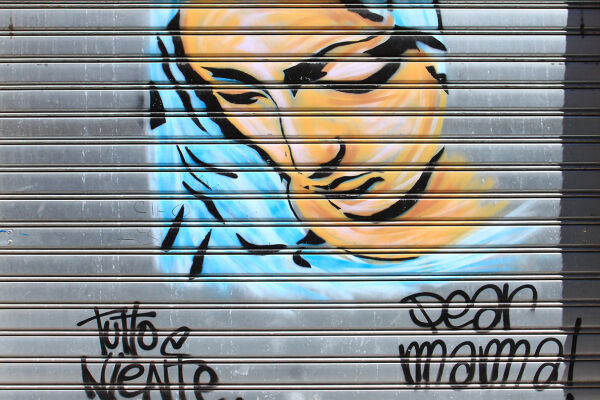 Maria Graffitti - © Foto: https://www.flickr.com/photos/146577968@N03/45103539221/