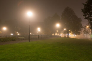 Park bei Nacht - © Foto: iStock / Juhku