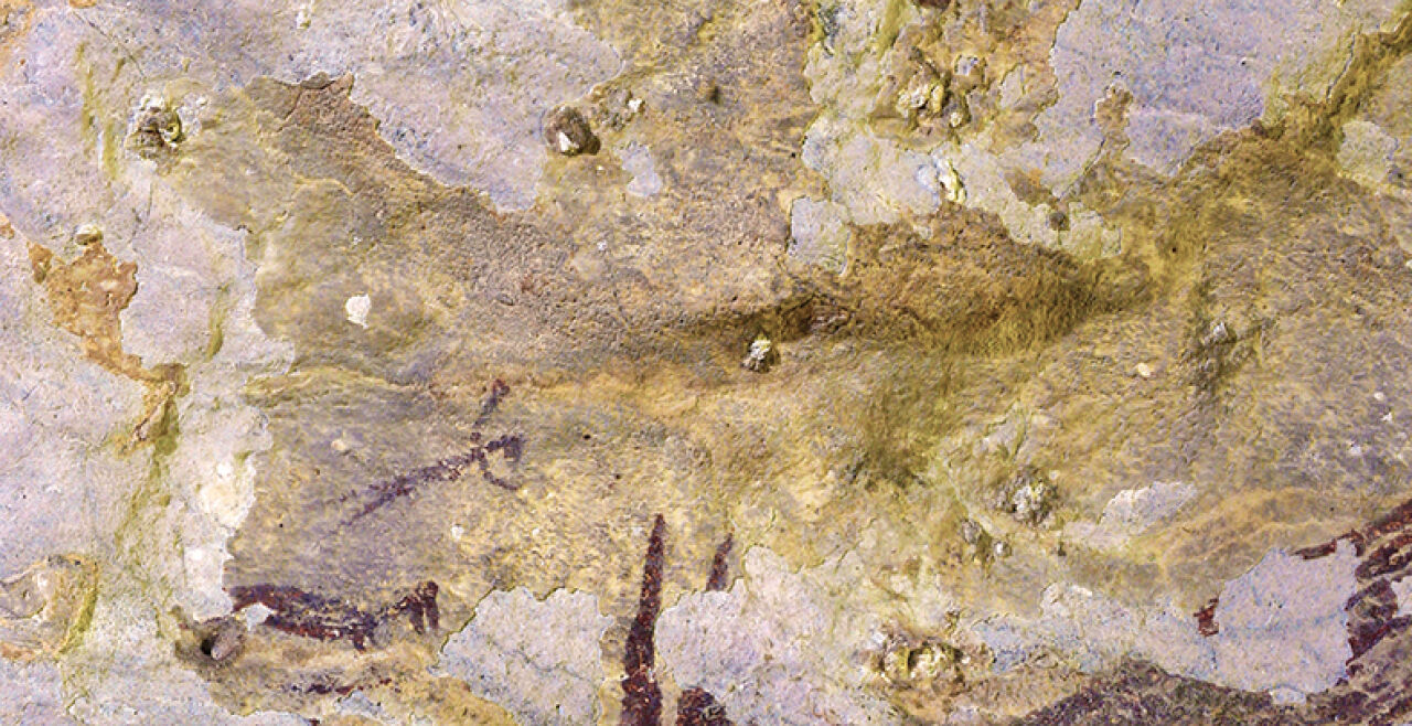 Urzeitliche Jagdmalerei - Die Wandmalereien wurden in der Kalksteinhöhle Leang Bulu Sipong 4 im Süden der Insel Sulawesi gefunden. Die Forscher nutzten die Uran-Thorium-Datierung, um das Alter festzustellen. - © Foto: APA / AFP / Griffith University / Ratno Sardi
