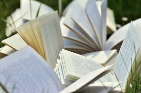 Bücher - © Foto: congerdesign / Pixabay