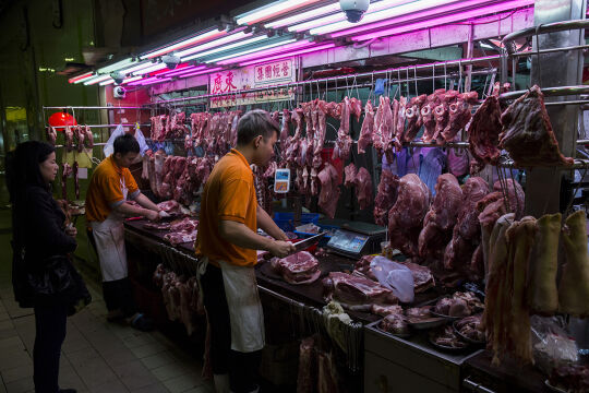 Nasse Märkte - Marktplätze, wo lebende oder unmittelbar geschlachtete Tiere angeboten werden, gelten als „Zeitbombe“ für neuartige Infektionskrankheiten (Bild: „Wet Market“ in Hong Kong). - © Foto: APA / AFP / Isaac Lawrence