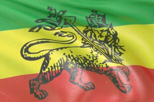 Löwe auf Jamaika-Flagge - © Pixabay/3D Animation Production Company