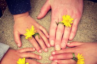 Familie - Familie, Hände, Blumen, Generationen - © Pixabay / Hari Mohan
