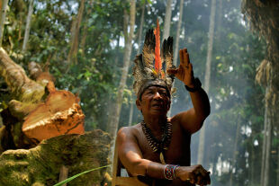 Amazonien - Marcellino Apurina, indigener Führer in Westamazonien, einer Region, die besonders von der Rodung betroffen ist. - © APA AFP Carl de Souza
