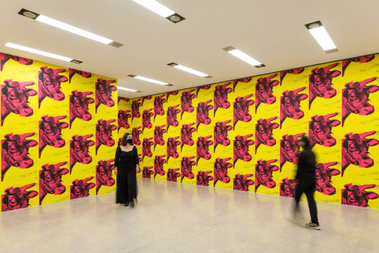 andy warhol - © Foto: Klaus Pichler ©mumok