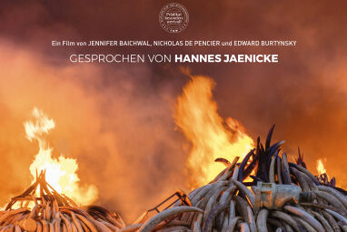Anthropocene - Brennendes Elfeinbein in Kenia: ein Symbol für den Kampf gegen die illegale Elefantenjagd. - © Polyfilm
