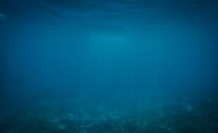 Unterwasser - © Foto: Pixabay