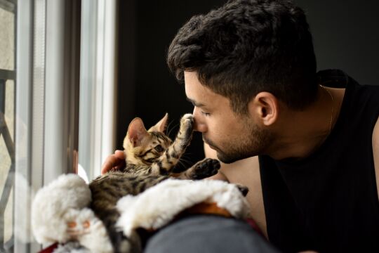 Kuschelrituale mit Katze  - © Foto: iStock / Raphael Angeli