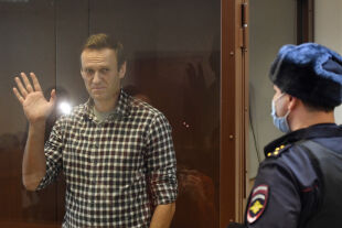 Nawalny - © Foto: picturedesk.com / Action Press / Kommersant Photo Agency