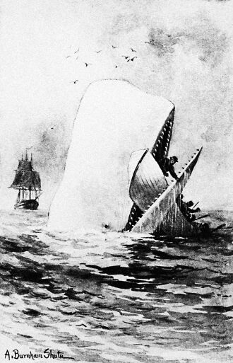 Moby Dick - Im 20. Jahrhundert fand „Moby-Dick“ Eingang in die populäre Kultur. Jeder scheint ihn zu kennen, wenige haben das Werk in voller Länge gelesen. - © Illustration: gettyimages / Bettmann