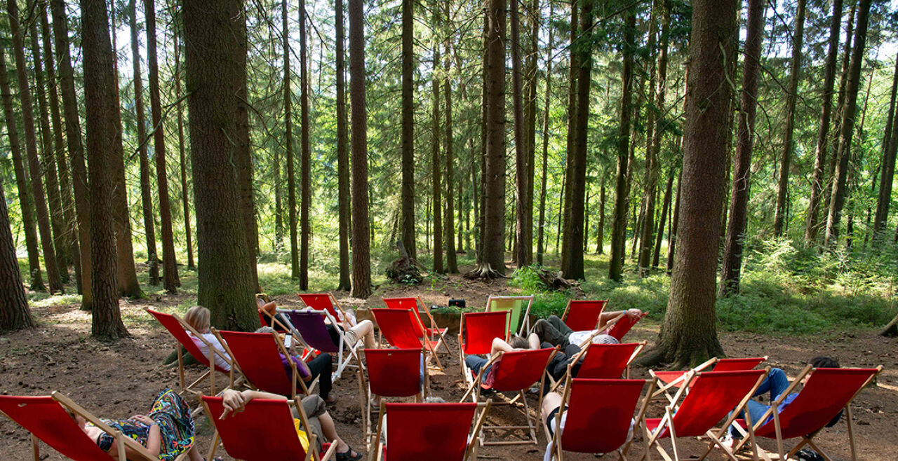 Hörspiel-Waldbühne - © Foto: Constantin Widauer