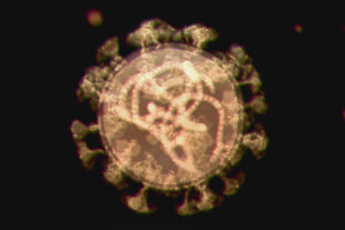 Corona Omikron Virus Variante - © Foto: iStock / Udomkarn Chitkul