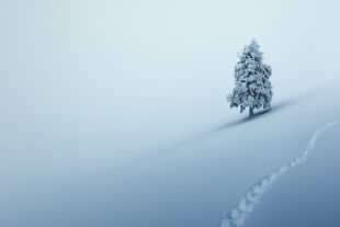 Winterreise - © Foto: iStock/borchee