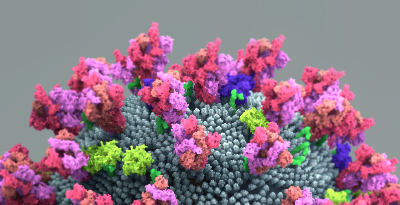 Virus - © Foto: iStock / Design Cells