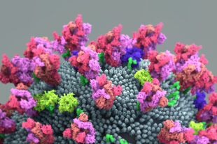 Virus - © Foto: iStock / Design Cells