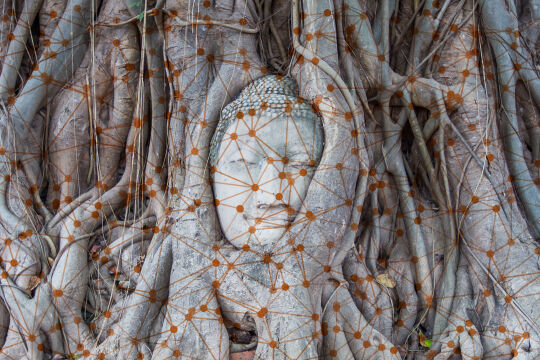 Buddha Natur  - © Collage: Rainer Messerklinger (unter Verwendung eines Bildes von iStock/FrankRamspott und iStock/Portra)