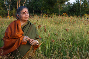Vandana Shiva - © Foto: picturedesk.com / Everett Collection 