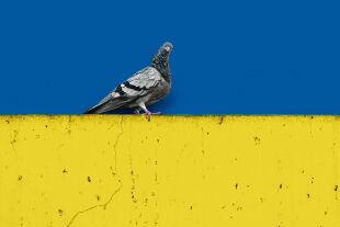 Ukraine - © Foto: Foto: iStock/Miguel Vidal (Bildbearbeitung: Rainer Messerklinger)