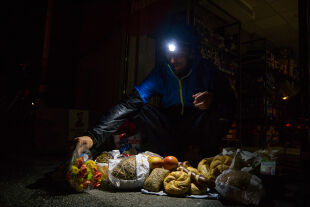 Containerer - "Müllstierdler" wie Lukas Uitz suchen im Müll nach noch genießbaren Lebensmitteln. Und sie werden überaus fündig. - © Christoph Laible
