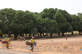Burkina Faso - © Foto: Rupert Roniger / Licht für die Welt
