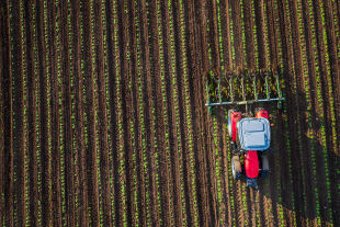 Carbon Farming - © Foto: iStock / valio84sl