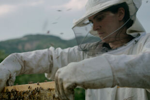 Hive - Still - © Foto: Polyfilm