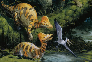 Dinosaurier Erdgeschichte Urzeit - © Foto: Getty Images / De Agostini 
